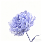 Flowerva Violet Haze Premium Flower
