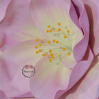 Flowerva EVA Gradient Pink Peony Premium Flower