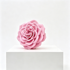 Flowerva Rose Contour Formwork Premium Decor
