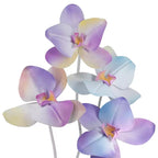 Flowerva Pastel Gradient Cadence Premium Decor