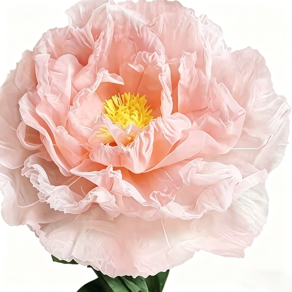 Flowerva Orchid Peony Luminaire Premium Flower
