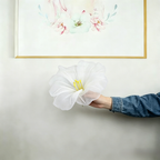Flowerva Morning Glory Veil Etherea Premium Decor