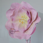 Flowerva EVA Gradient Pink Peony Premium Flower