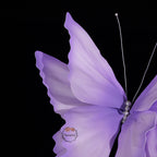 Flowerva Ethereal Flutter Art Accent