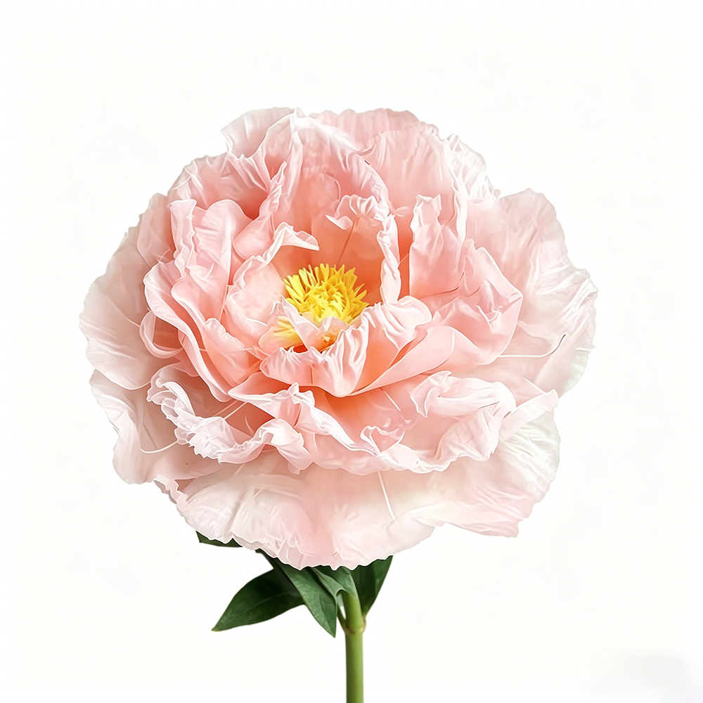 Flowerva Orchid Peony Luminaire Premium Flower