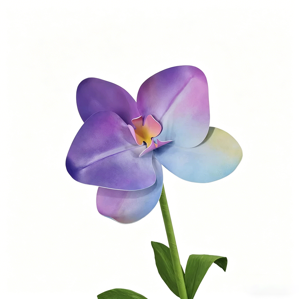 Flowerva Pastel Gradient Cadence Premium Decor