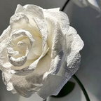 Flowerva White Rose Chroma Cluster Premium Decor