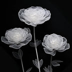 Flowerva Translucent Mist Contour Premium Decor