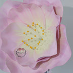 Flowerva EVA Gradient Pink Peony Premium Flower