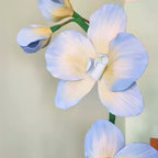 Flowerva Blue Orchid Chromatic Gradient Premium Decor