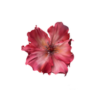 Flowerva Effortless Grace Premium Flower