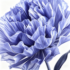 Flowerva Violet Haze Premium Flower