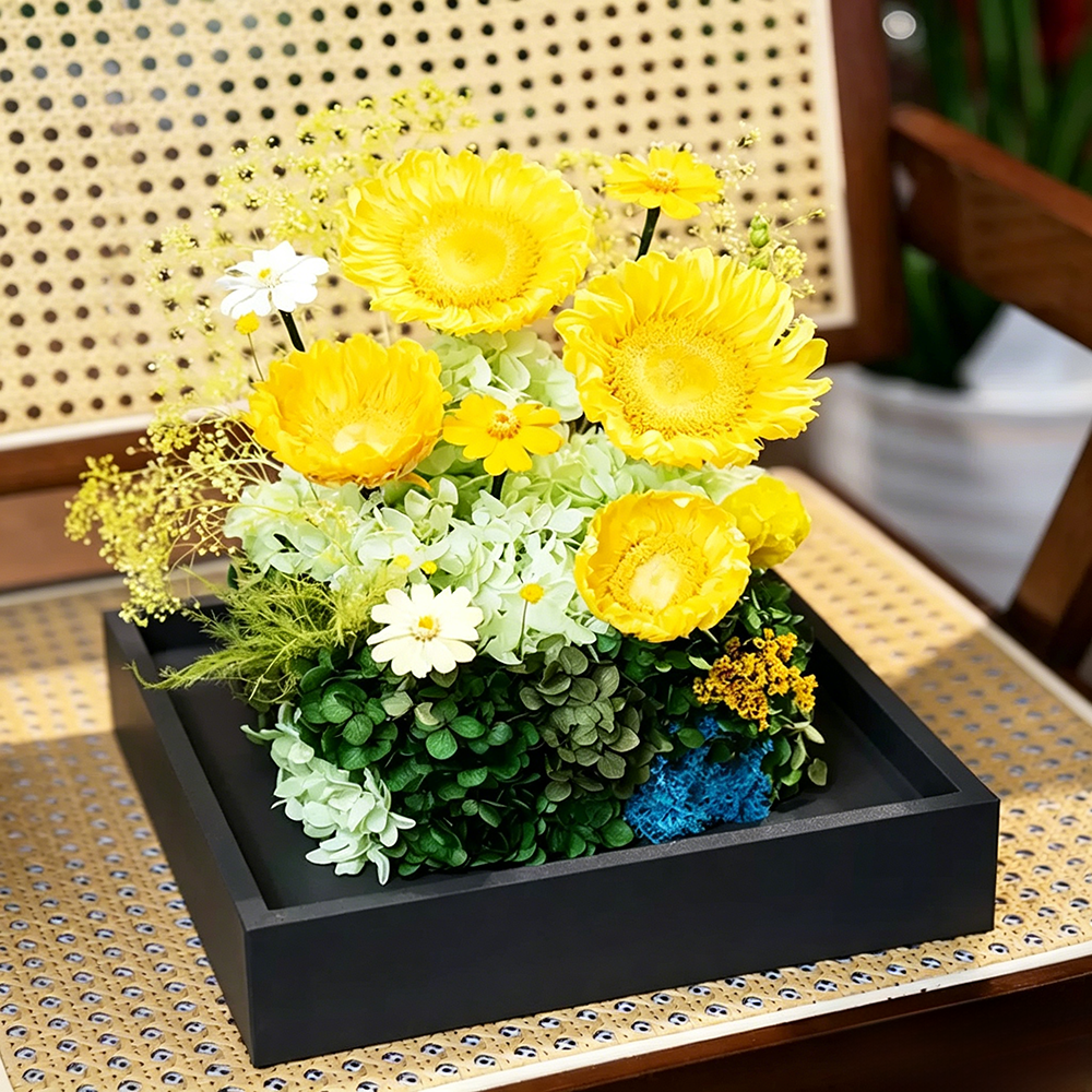 Flowerva Sunflower Preserved Bloom Acrylic Box Premium Decor