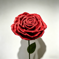 Flowerva Blazing Crimson Rose Premium Flower