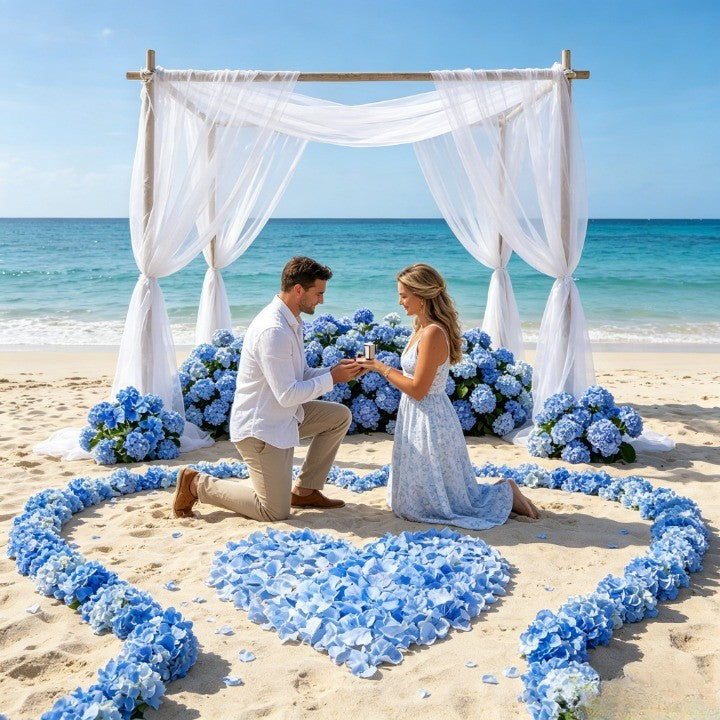 Flowerva  Proposal Scene Decor & Wedding Confetti —Blue