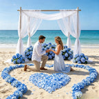Flowerva  Proposal Scene Decor & Wedding Confetti —Blue