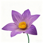 Flowerva Violet Lily Contour Premium Decor