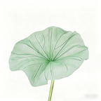 Flowerva Lotus Petal Etherea Premium Decor
