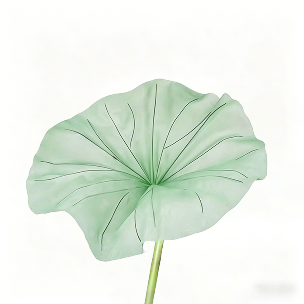 Flowerva Lotus Petal Etherea Premium Decor
