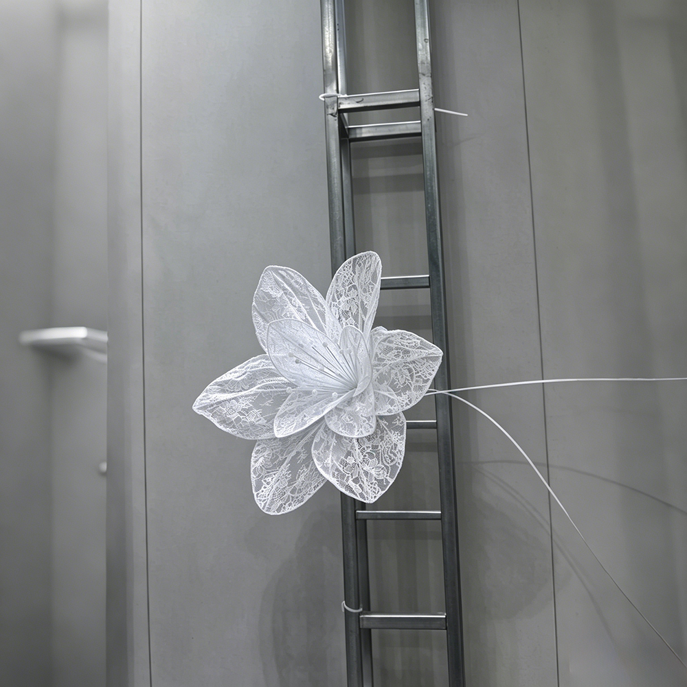 Flowerva Lace Silhouette Bloom Art Installation