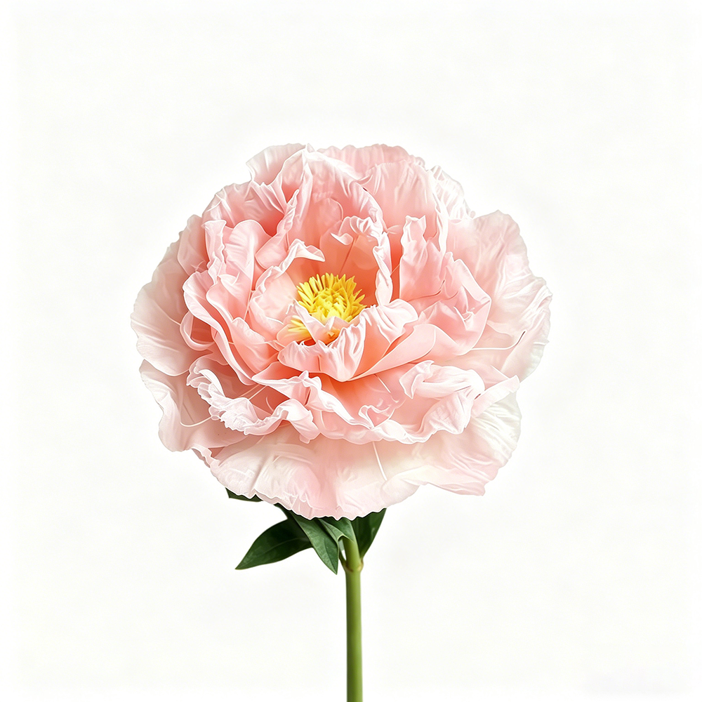 Flowerva Orchid Peony Luminaire Premium Flower