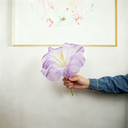 Flowerva Morning Glory Veil Etherea Premium Decor