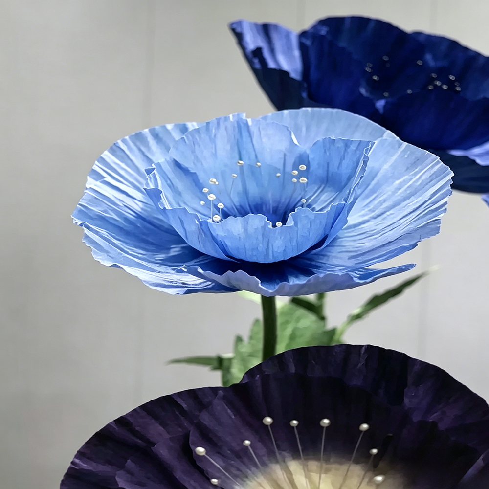 Flowerva Blue Poppy Gradient Premium Decor