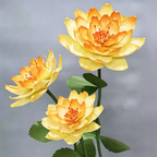 Flowerva Amber Calla Lily Premium Flower