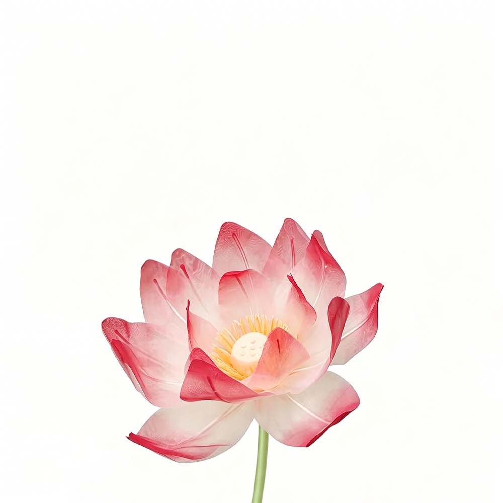 Flowerva Lotus Petal Etherea Premium Decor