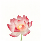 Flowerva Lotus Petal Etherea Premium Decor