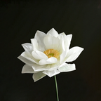 Flowerva Lotus Zen Grace Premium Decor