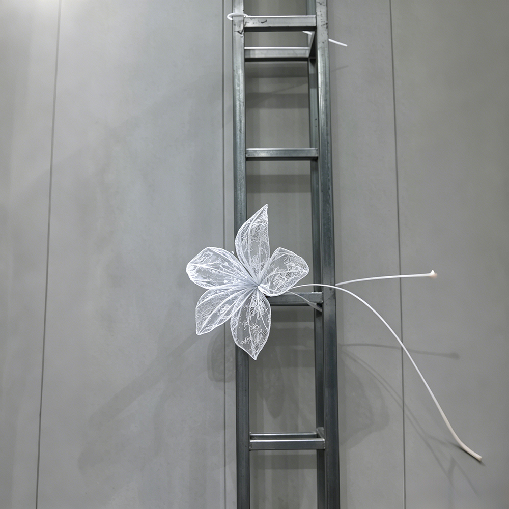 Flowerva Lace Silhouette Bloom Art Installation