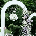 Flowerva Serene Aura Statement Premium Decor