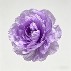 Flowerva Peony Veil Luminara Premium Decor