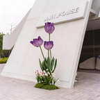 Flowerva Tulip Ensemble Premium Decor