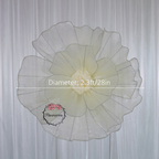 Flowerva Aura Pliegue Colección de Esculturas Decoración Premium