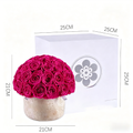 Premium Preserved Roses Floyd Gift Box