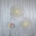 Flowerva Aura Pliegue Colección de Esculturas Decoración Premium