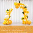 Flowerva Balloon Arch Kit for Proposal & Birthday Party Decorations