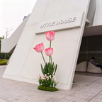 Flowerva Tulip Ensemble Premium Decor