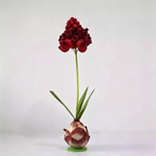 Flowerva Muscari Palette Artisan Premium Decor