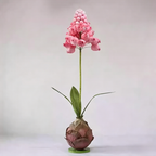 Flowerva Muscari Palette Artisan Premium Decor