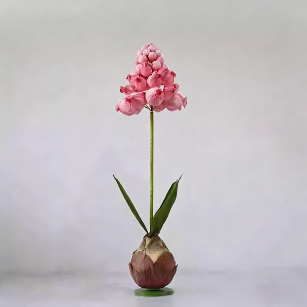 Flowerva Muscari Palette Artisan Premium Decor