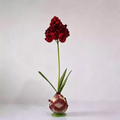 Flowerva Muscari Palette Artisan Premium Decor