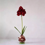 Flowerva Muscari Palette Artisan Premium Decor