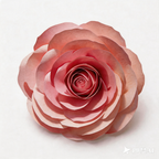 Flowerva Petal Sculptural Cadence Premium Decor
