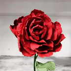 Flowerva Dramatic Red Petal Premium Flower