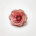 Flowerva Petal Sculptural Cadence Premium Decor