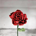 Flowerva Dramatic Red Petal Premium Flower