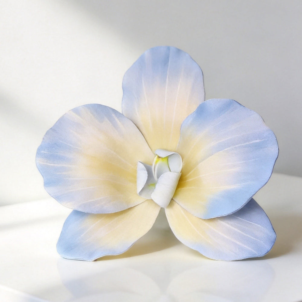 Flowerva Blue Orchid Chromatic Gradient Premium Decor